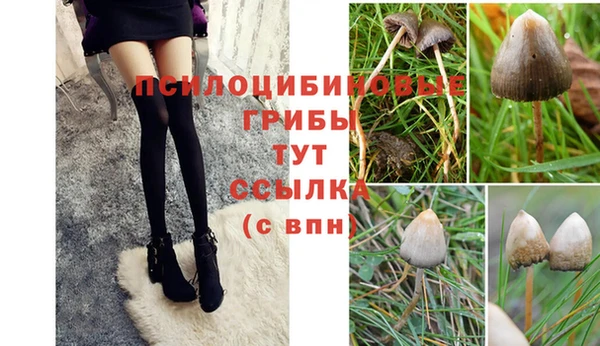 хмурый Нягань