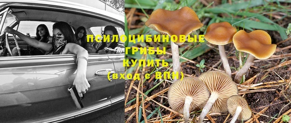 хмурый Нягань