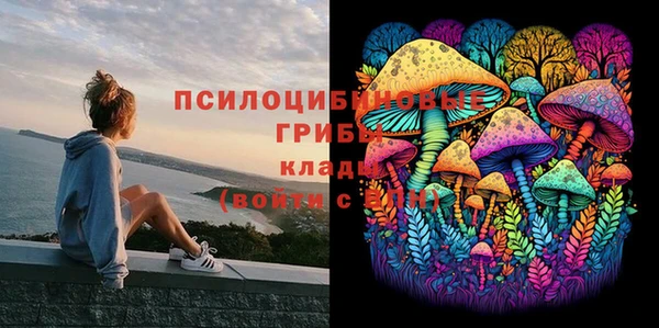 герыч Нязепетровск