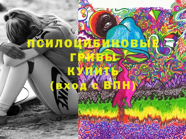хмурый Нягань